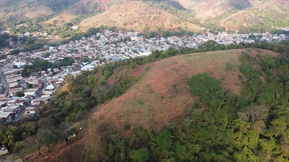 Coronel Fabriciano lança Refloresta Fabri e prevê plantio de quase 500 mil mudas nativas